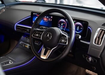 Will Fleas Die In A Hot Car?