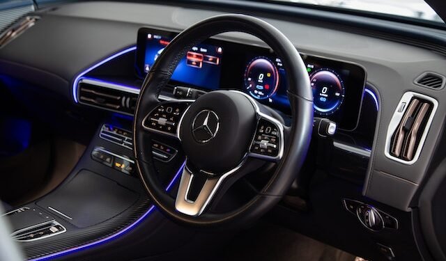 Will Fleas Die In A Hot Car?